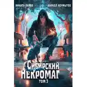 Постер книги Сибирский некромаг 3