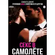 Постер книги Групповой МЖМ с пилотом и его другом. Секс в самолете