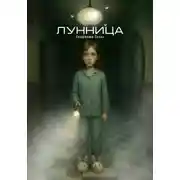 Постер книги Лунница