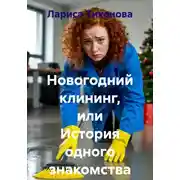 Постер книги Новогодний клининг, или История одного знакомства