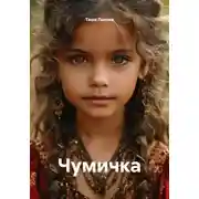 Постер книги Чумичка