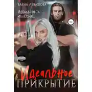 Постер книги Идеальное прикрытие