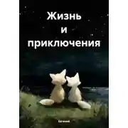 Постер книги Жизнь и приключения