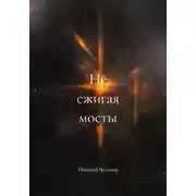 Постер книги Не сжигая мосты