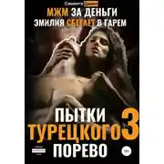 Постер книги МЖМ за деньги. Эмилия сбегает в Гарем. Пытки Турецкого. Порево 3