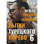 Постер книги Пытки Турецкого Порево 6. Между Саидом и Халимом