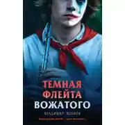 Постер книги Темная флейта вожатого