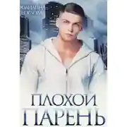 Постер книги Плохой парень