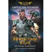 Постер книги Звездный волк. Истории о космосе