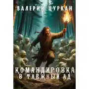 Постер книги Командировка в таёжный ад