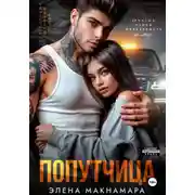 Постер книги Попутчица