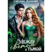 Постер книги Между светом и тьмой