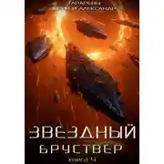 Постер книги Звездный бруствер. Книга 4