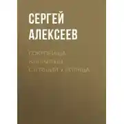 Постер книги Сокровища Валькирии. Стоящий у Солнца