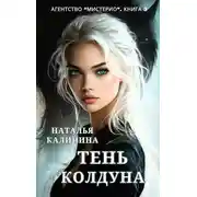 Постер книги Тень колдуна