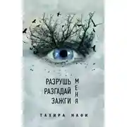 Постер книги Разрушь меня. Разгадай меня. Зажги меня