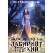 Постер книги Академия хаоса. Лабиринт стихий