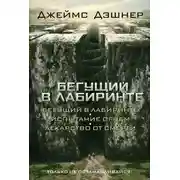 Постер книги Бегущий в Лабиринте (сборник)