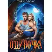 Постер книги Одиночка