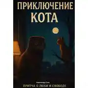 Постер книги Приключение кота