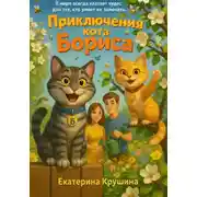 Постер книги Приключения кота Бориса
