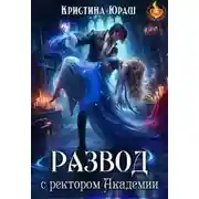 Постер книги Развод с ректором Академии