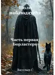Степан Васильев - Поле наблюдателя. Часть первая: Борластерн