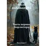 Постер книги Поле наблюдателя. Часть первая: Борластерн