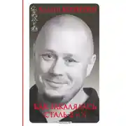 Постер книги Как закалялась сталь – 2 и ½