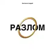 Постер книги Разлом