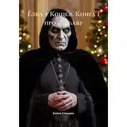 Постер книги Ёлка у Кощея. Книга 1 про Любаву