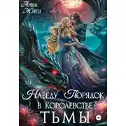 Постер книги Наведу порядок в королевстве тьмы