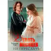 Постер книги Девять месяцев на пересдачу