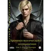 Постер книги Хроники магического возвышения. Том 3. Отряд Жнецов