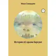 Постер книги История об одном барсуке