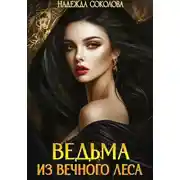 Постер книги Ведьма из Вечного леса
