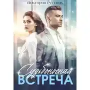 Постер книги Судьбоносная встреча