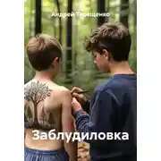 Постер книги Заблудиловка