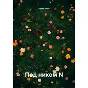 Постер книги Под ником N