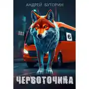 Постер книги Червоточина