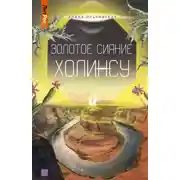 Постер книги Золотое сияние Холинсу