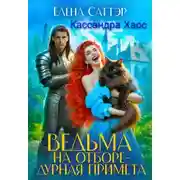 Постер книги Ведьма на отборе - дурная примета