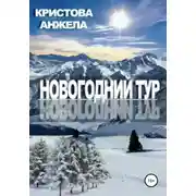 Постер книги Новогодний тур