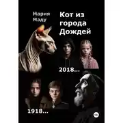 Постер книги Кот из Города дождей