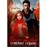 Постер книги После развода. Бумеранг судьбы