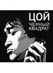 Александр Долгов - Цой: черный квадрат