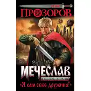 Постер книги Я сам себе дружина!