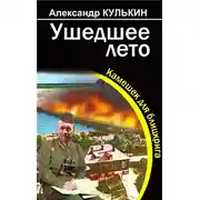 Постер книги Ушедшее лето. Камешек для блицкрига