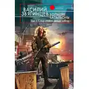 Постер книги Зима стальных метелей