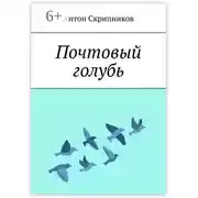 Постер книги Городской голубь
